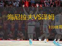  海尼拉夫VS澤姆