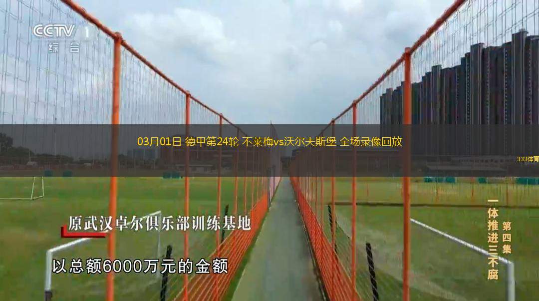  03月01日 德甲第24輪 不萊梅vs沃爾夫斯堡 全場(chǎng)錄像回放