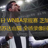 07月07日 WNBA常規賽 芝加哥天空vs明尼蘇達山貓 全場(chǎng)錄像回放