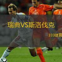  瑞典VS斯洛伐克