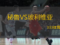  秘魯VS玻利維亞