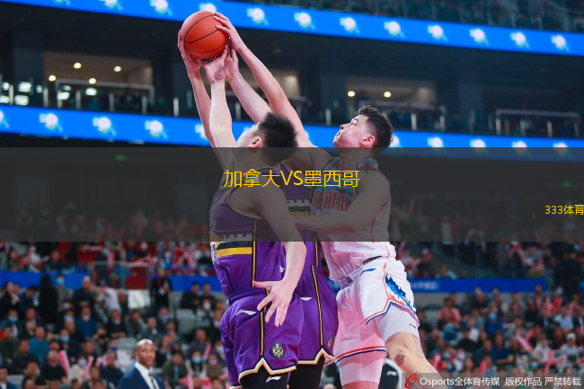  加拿大VS墨西哥