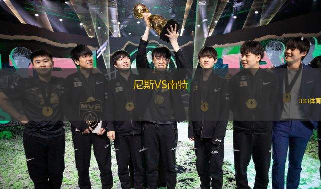 尼斯VS南特