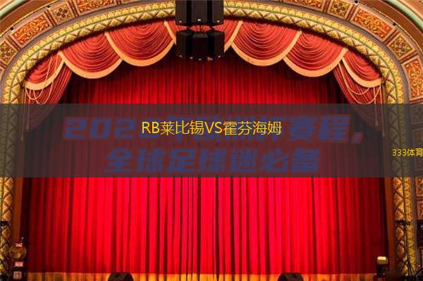  RB萊比錫VS霍芬海姆