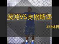  波鴻VS奧格斯堡