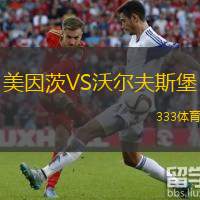  美因茨VS沃爾夫斯堡