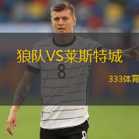  狼隊VS萊斯特城