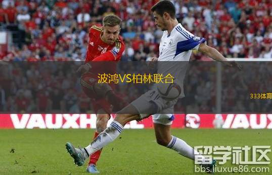  波鴻VS柏林聯(lián)合