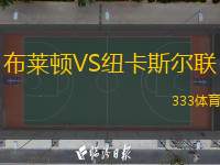  布萊頓VS紐卡斯爾聯(lián)