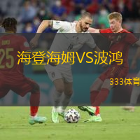 海登海姆VS波鴻