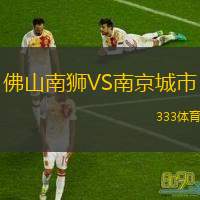  佛山南獅VS南京城市