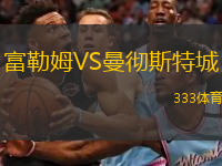  富勒姆VS曼徹斯特城