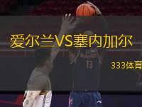  愛(ài)爾蘭VS塞內加爾