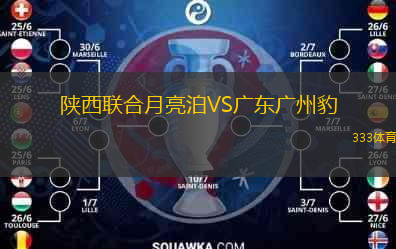  陜西聯(lián)合月亮泊VS廣東廣州豹