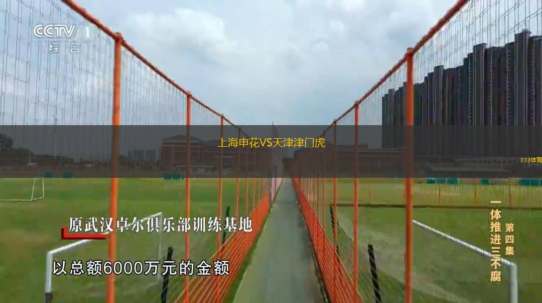  上海申花VS天津津門(mén)虎