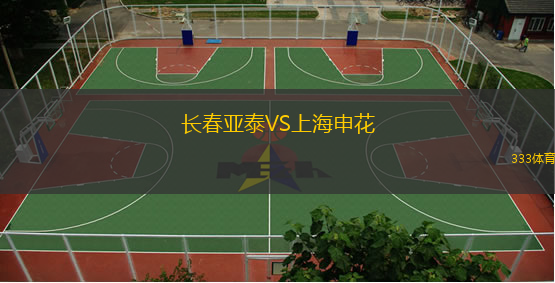  長(cháng)春亞泰VS上海申花