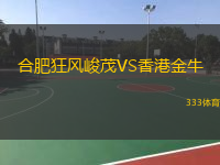  合肥狂風(fēng)峻茂VS香港金牛
