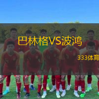  巴林格VS波鴻