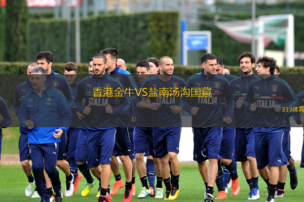  香港金牛VS鹽南湯溝國藏