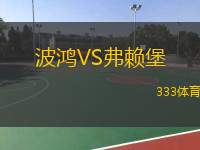  波鴻VS弗賴(lài)堡