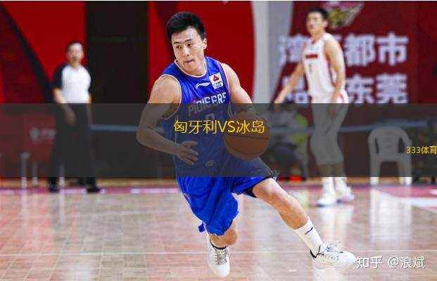  匈牙利VS冰島
