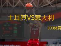  土耳其VS意大利