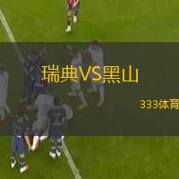  瑞典VS黑山