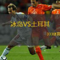  冰島VS土耳其