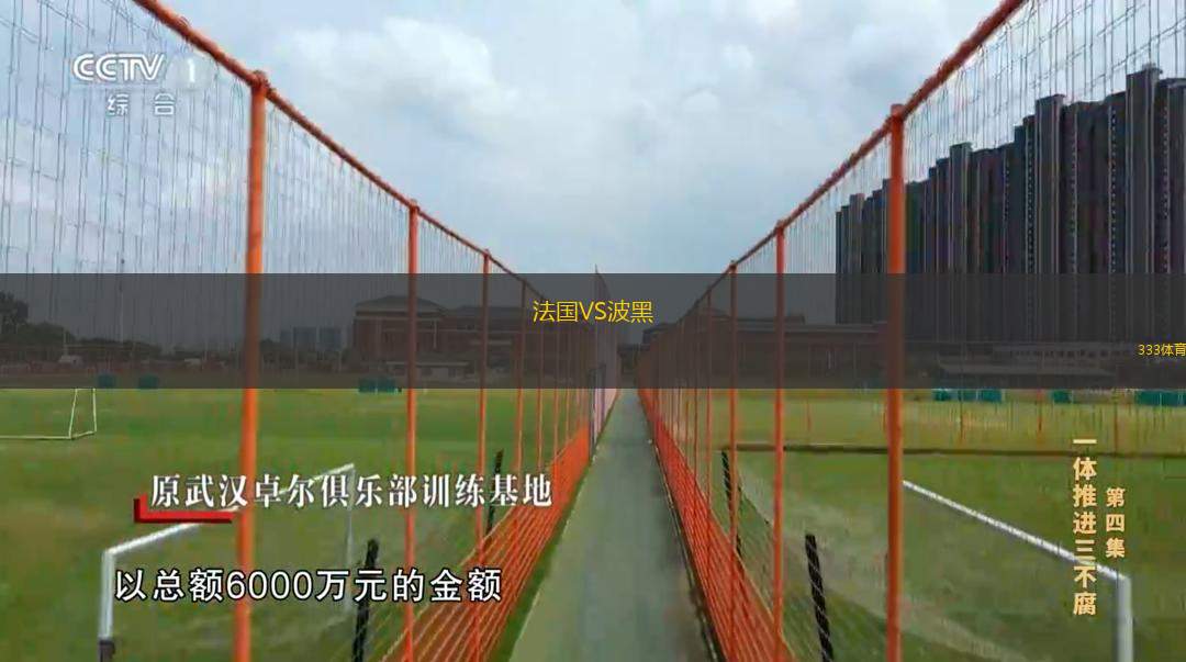  法國VS波黑