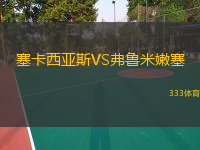  塞卡西亞斯VS弗魯米嫩塞