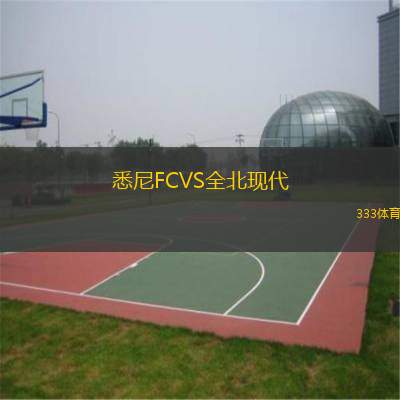  悉尼FCVS全北現代