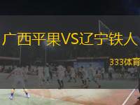  廣西平果VS遼寧鐵人